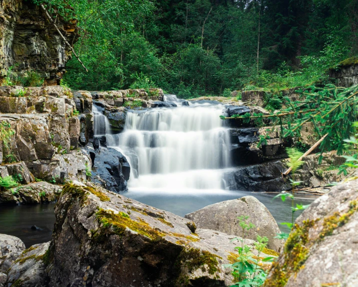 a waterfall in a tropical rainforest with green plants