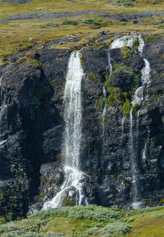 a horse grazing in the green grass near a waterfall