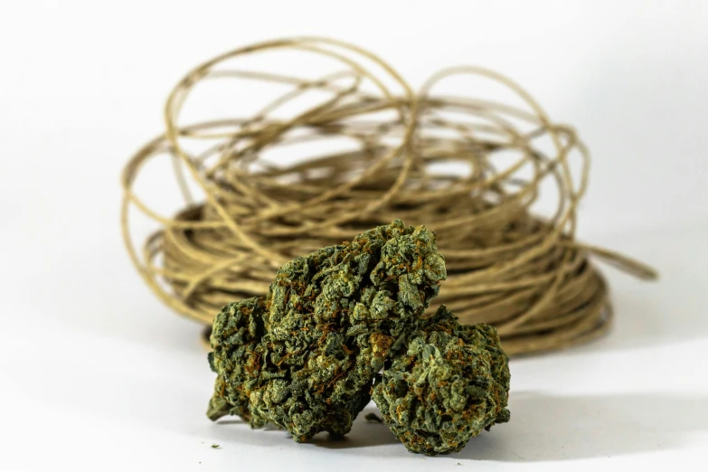 small marijuana seeds are placed next to some tangled ropes