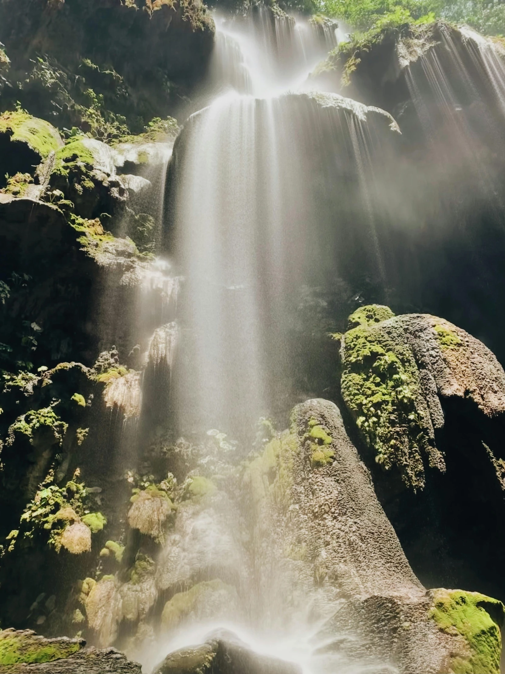 a waterfall with moss growing on rocks and some trees