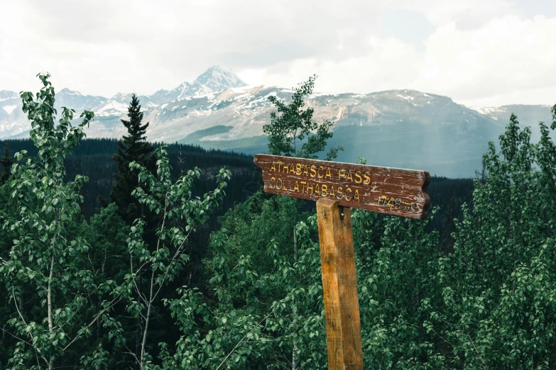 the wooden sign on the mountain indicates where there are hikers