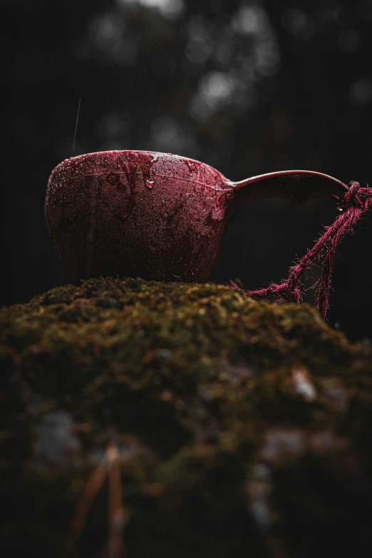 a red cup on top of a moss covered surface