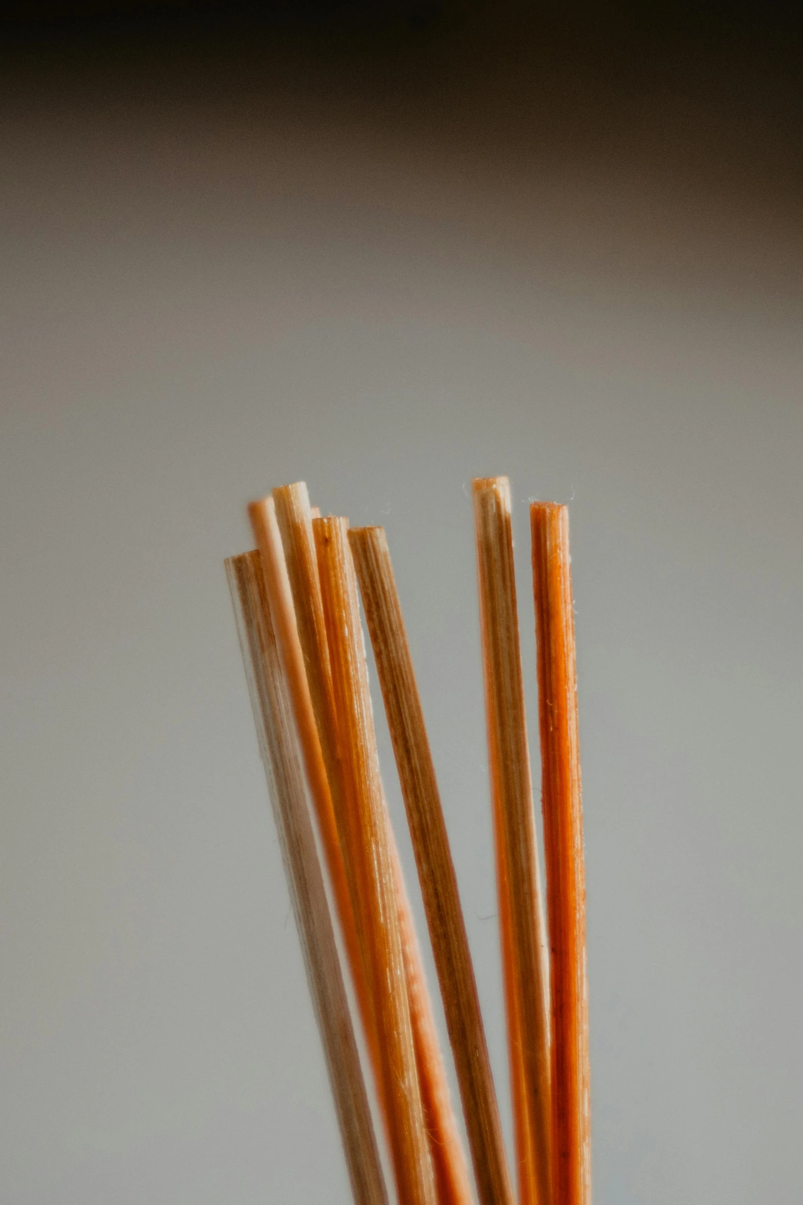 several small pieces of burnt, thick and brown sticks