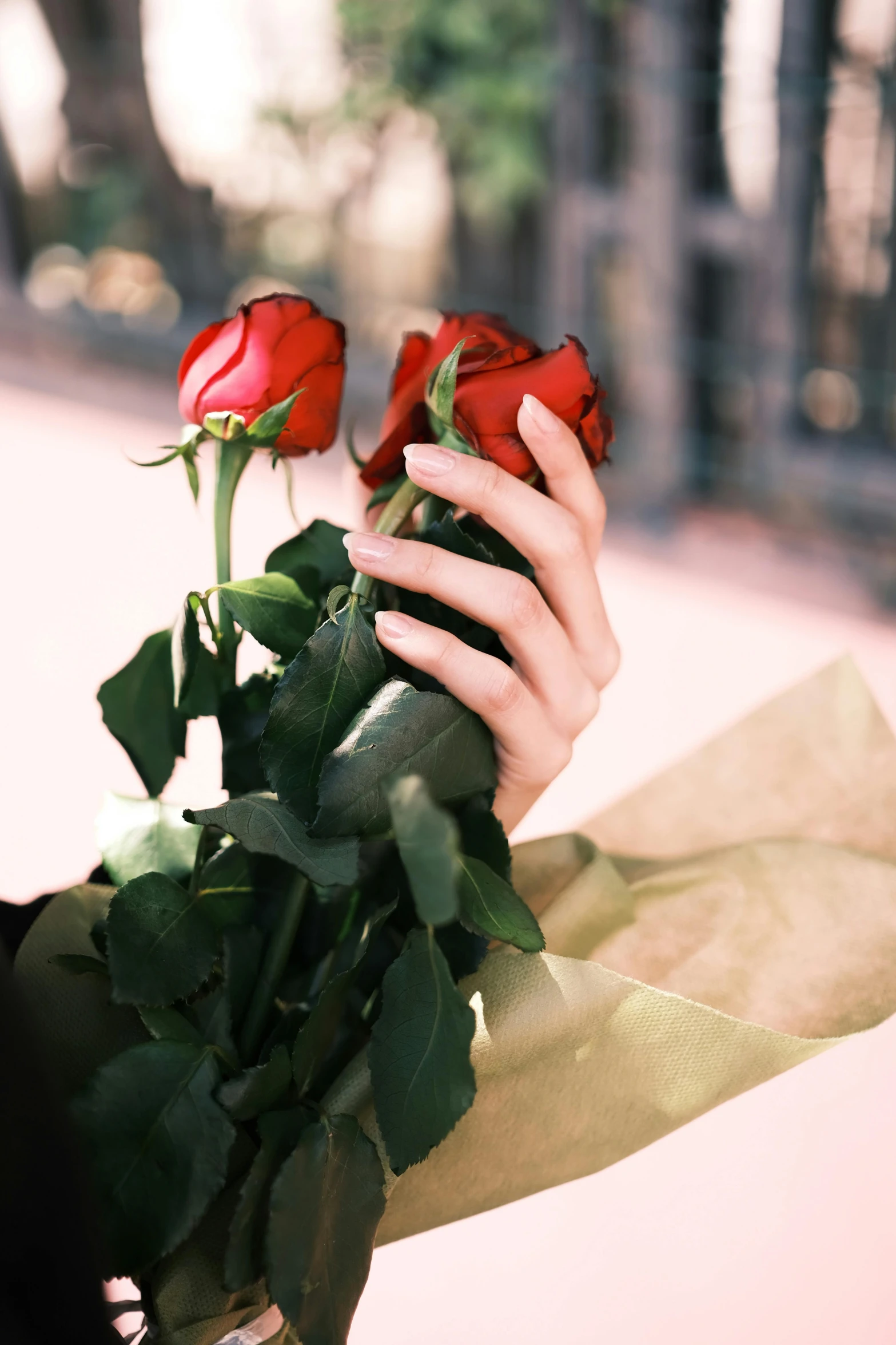 the woman is holding a bouquet with roses