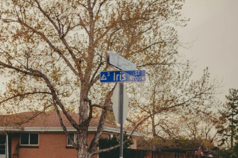 there are street signs next to the building