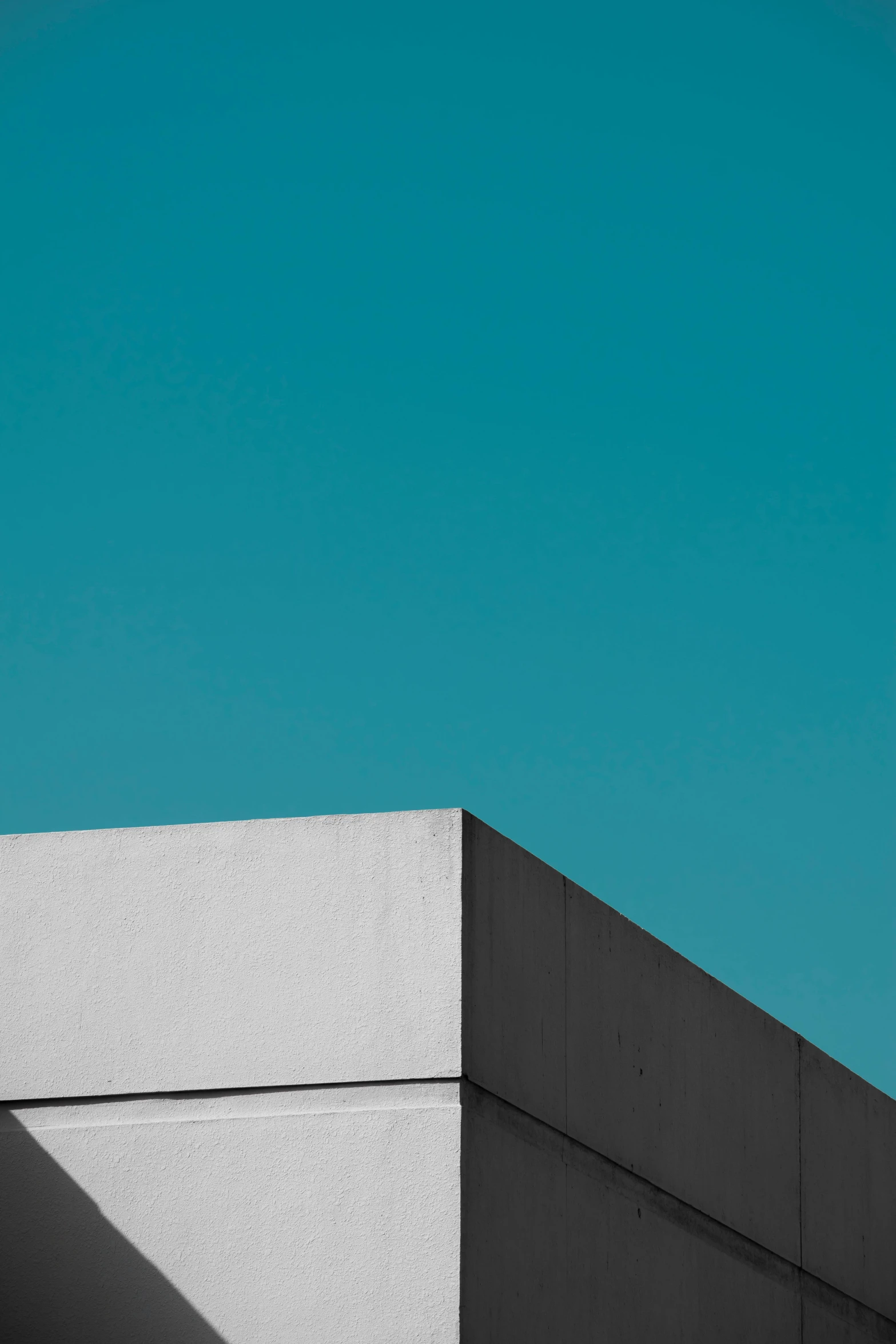 a bird flying over an edge of a building