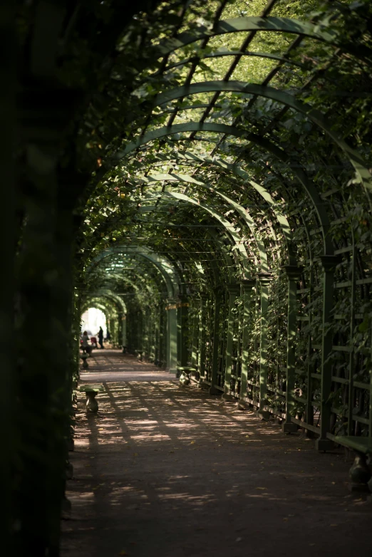 a walkway with green arbor over the top