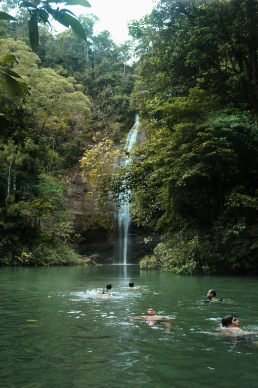 people swimming in a green pond in front of a waterfall