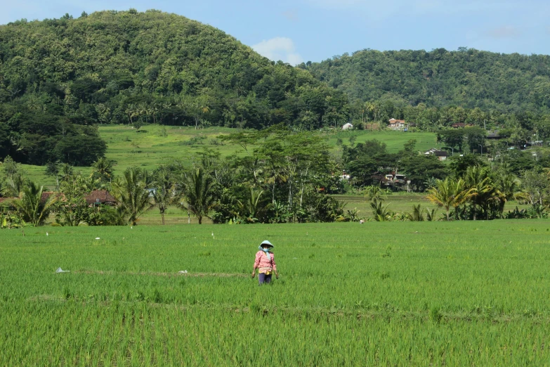 a girl wearing a green hat walks through a field with a grassy slope in the background