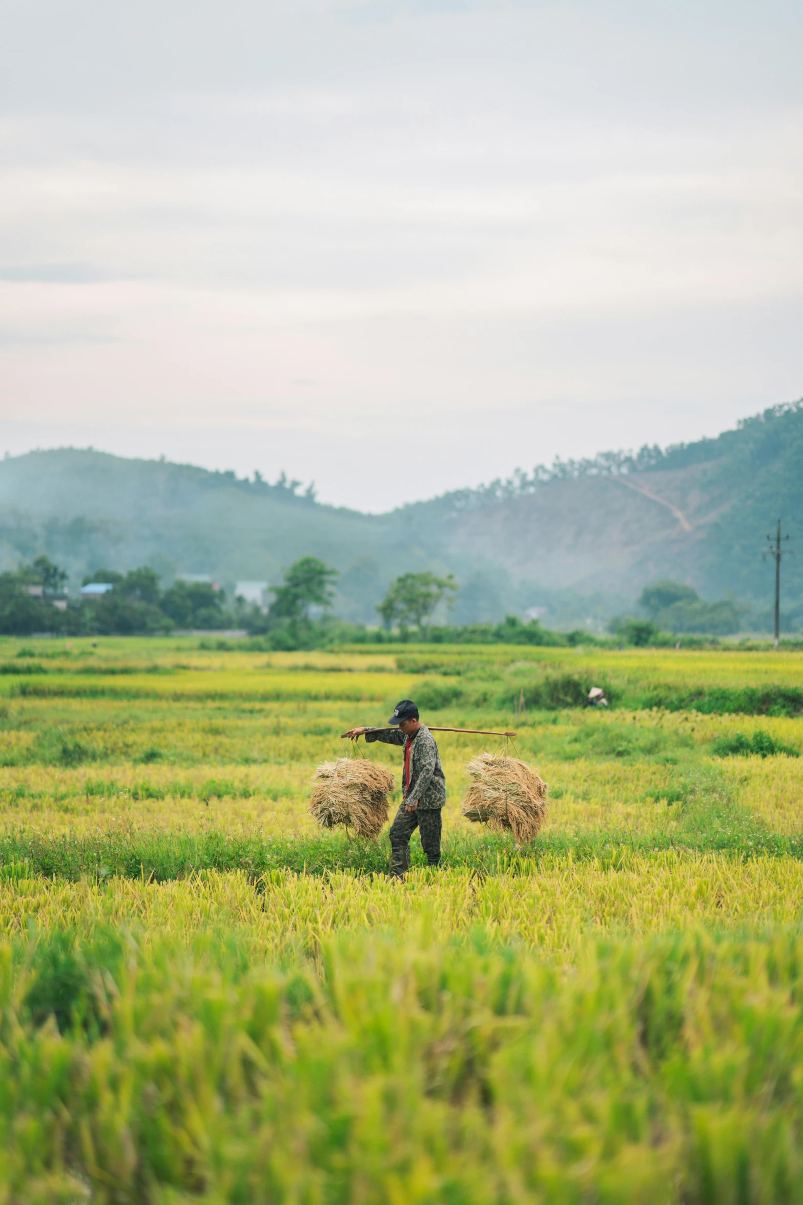 a man with a large pole walks through a green field