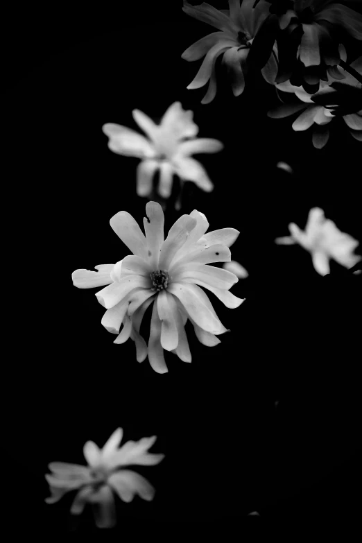 the flowers are coming out of the vase