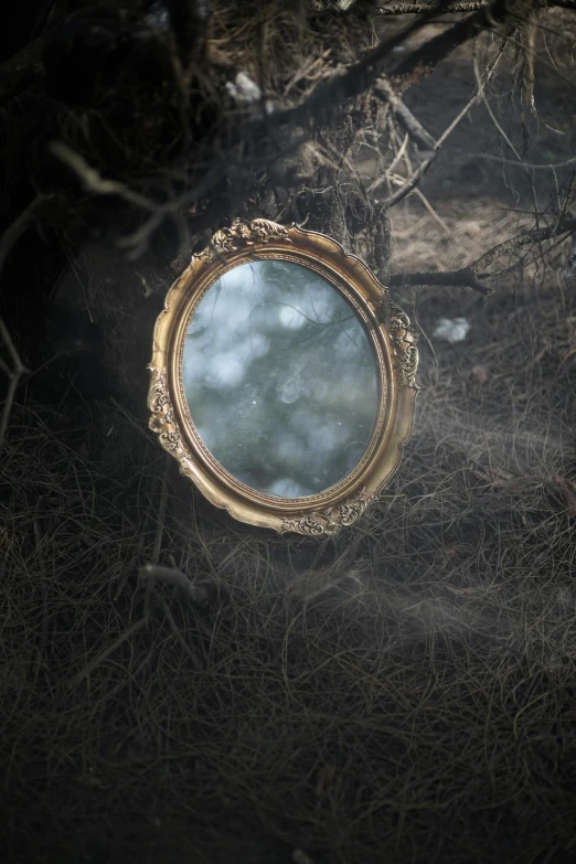 a round mirror sitting in the middle of a forest
