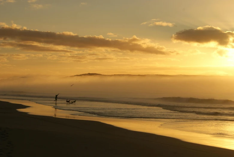 a man carrying a board and surfboard near a beach