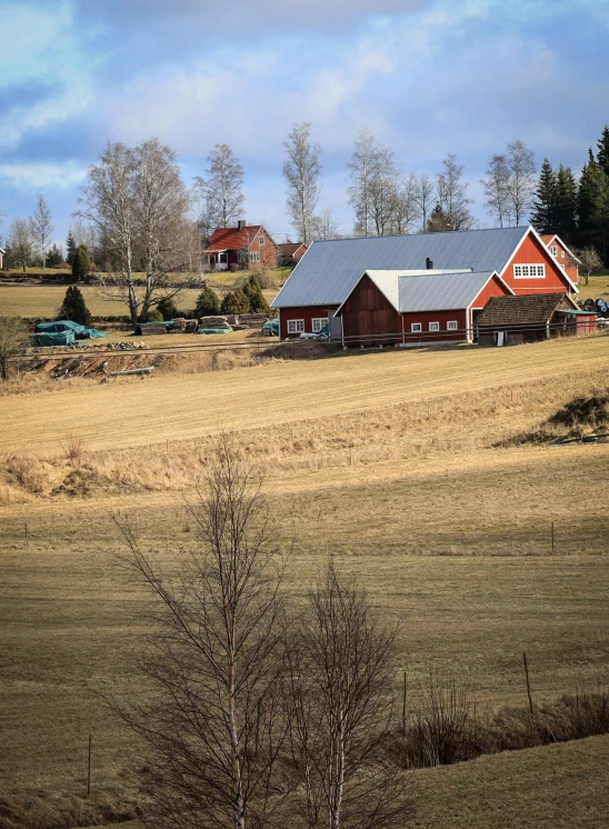 an old farm with two barn buildings and a tree