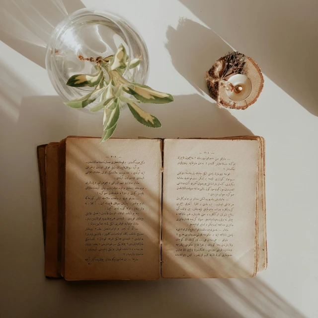 an old book with a flower on top of it