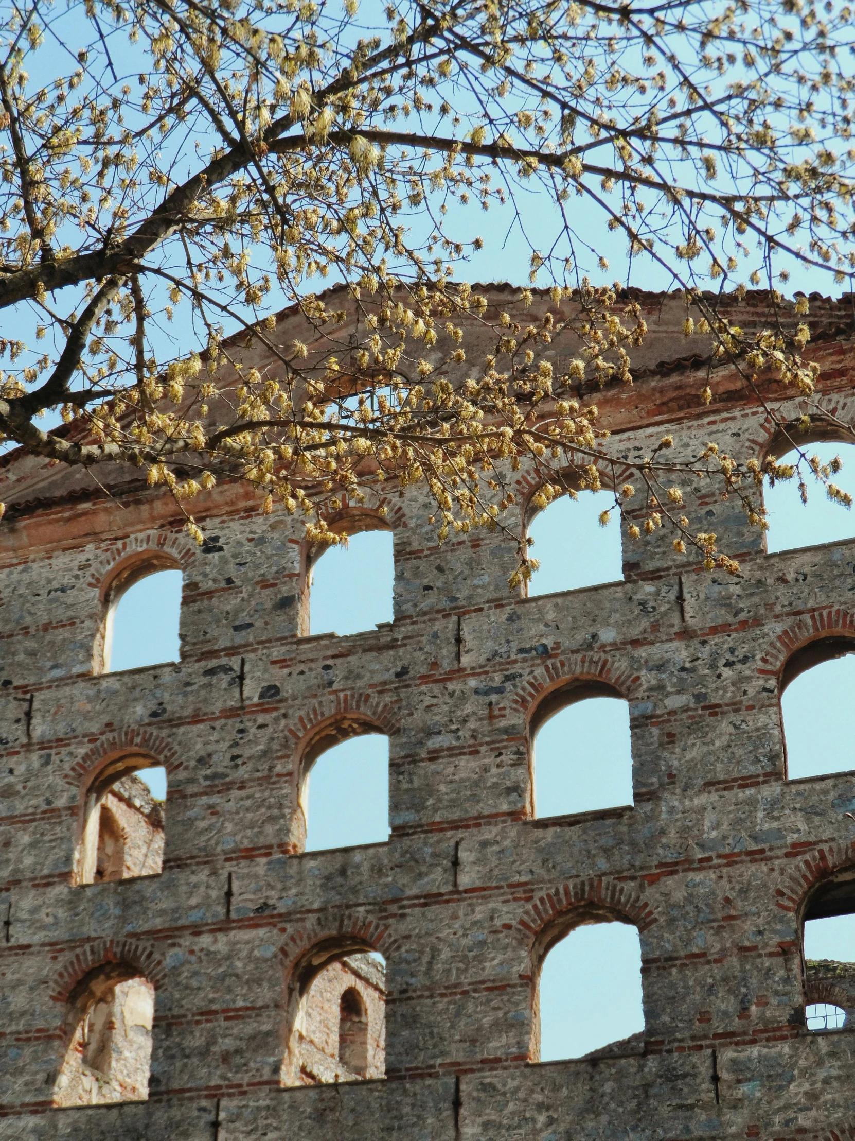 the windows of an old brick building are clearly visible