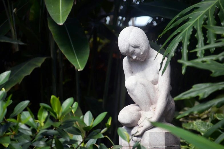 a statue is sitting in the middle of a jungle