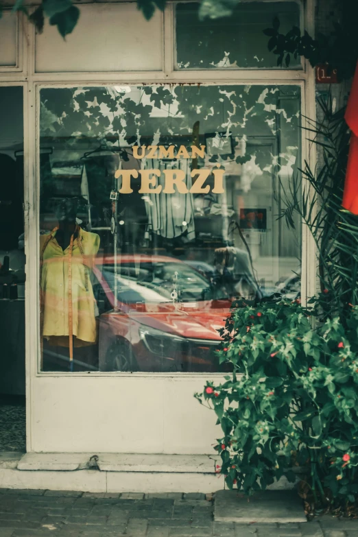 a woman standing in front of a store window next to a plant