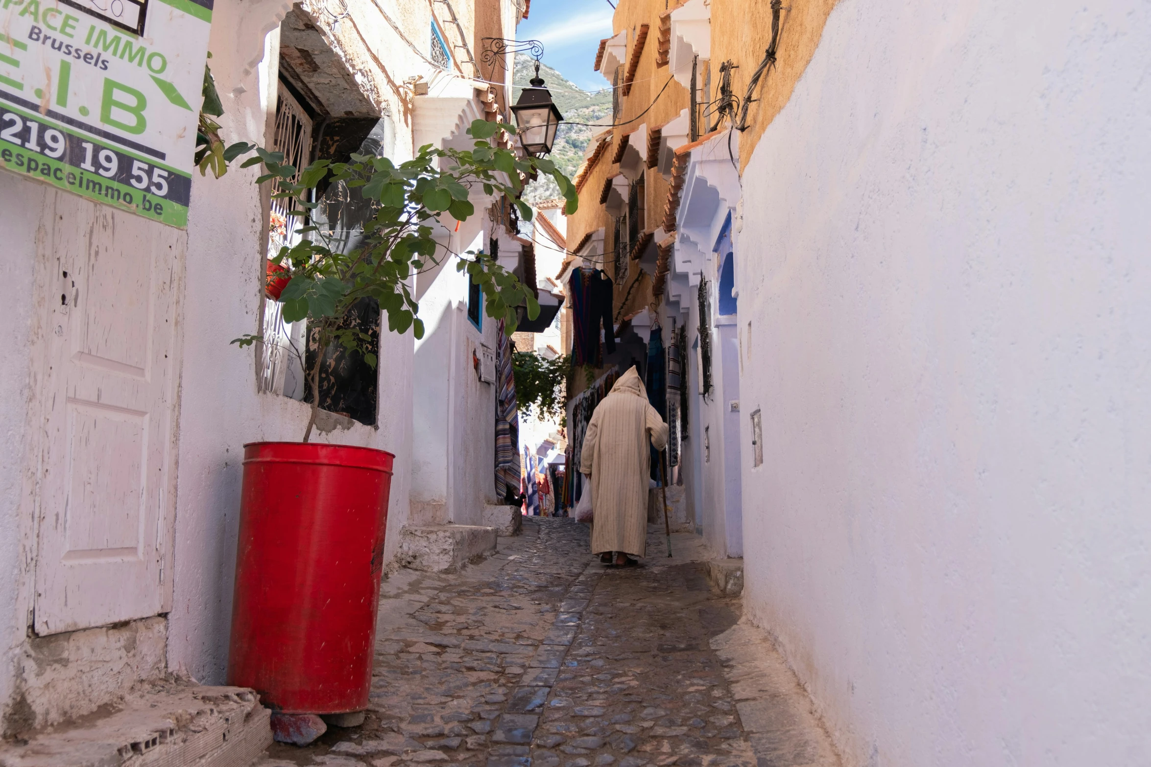 narrow alleyway with tree growing near buildings