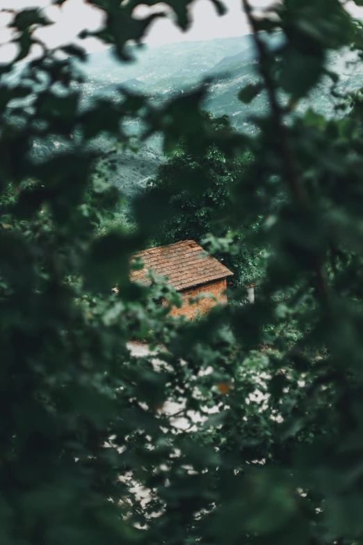 there is a house in the bushes through the trees