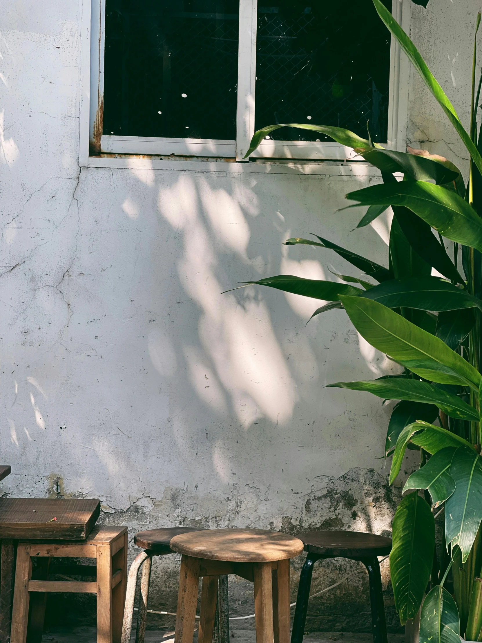 small wooden benches sitting against the side of a house