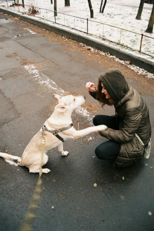 the man is giving a dog some food