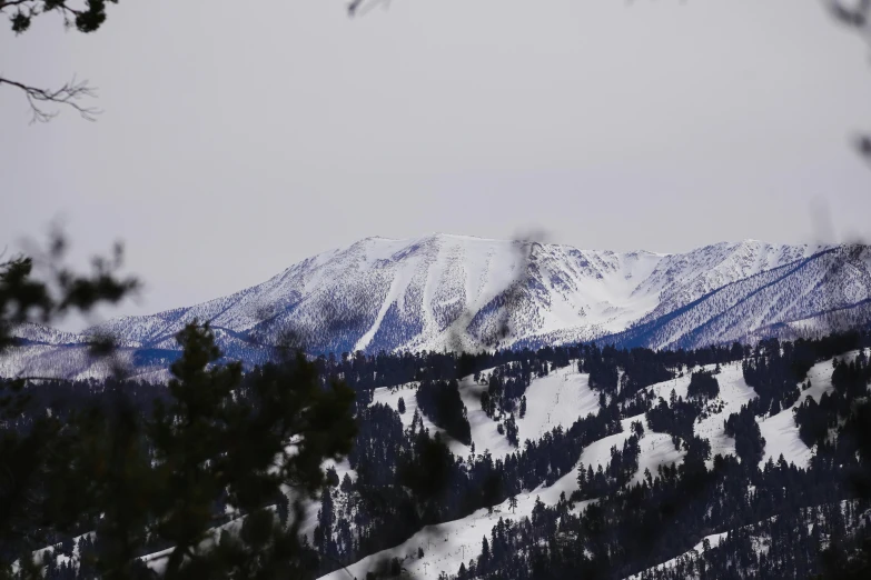 the top of snow covered mountain with trees in foreground