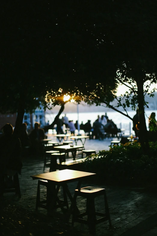 group of people sitting under a tree with street lights