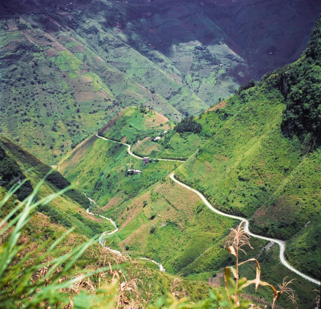 winding road in the mountains with green grass