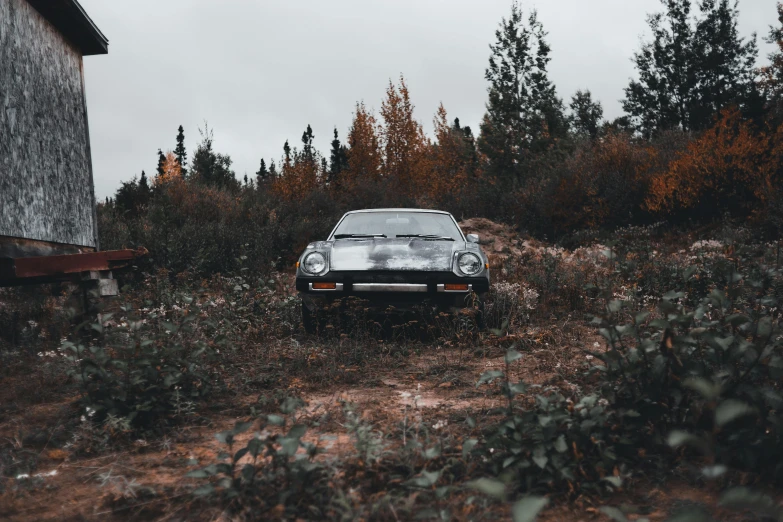 a car sits in a grassy area near some trees