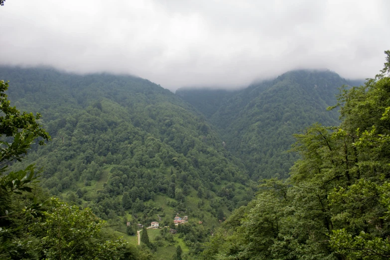 some very pretty green mountains with houses in the trees