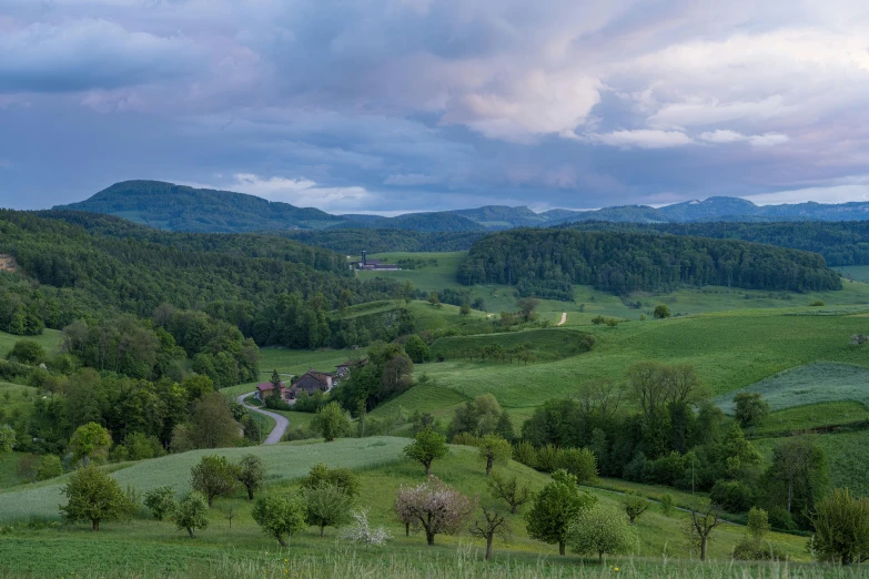 a large grassy hillside with many trees