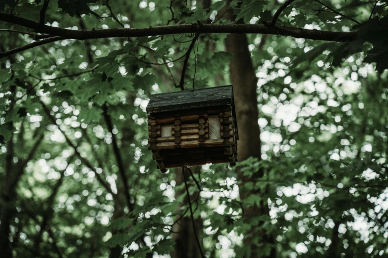 a bee house made out of wood on a tree