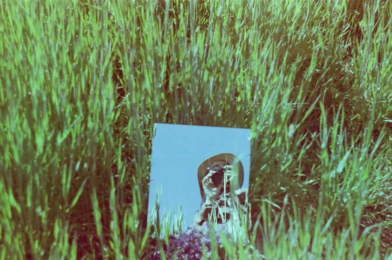 a po is laying in the grass beside a sign