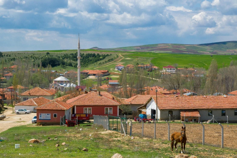 cows and houses in a valley view in the country