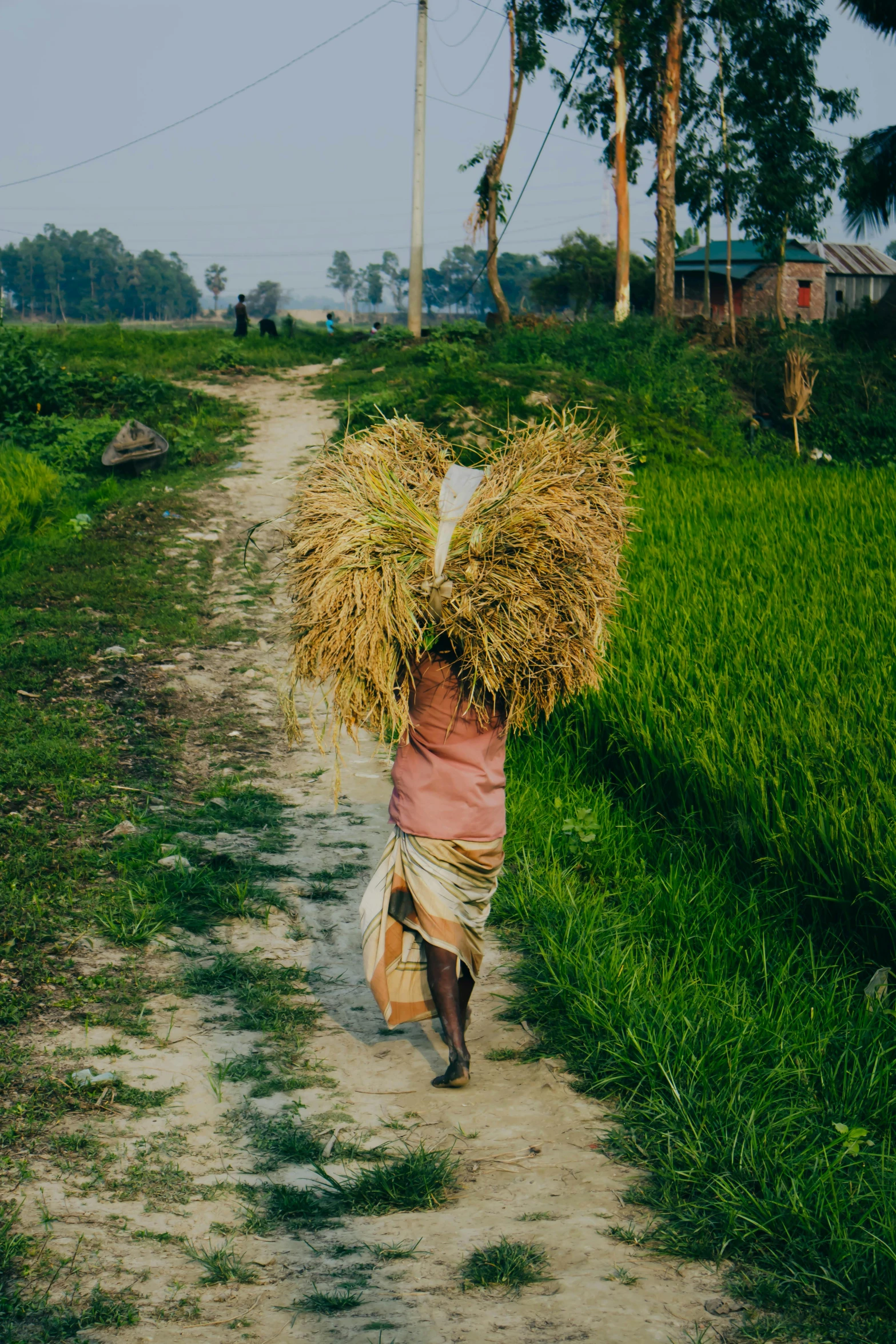 a woman with lots of grass in her hands walks on the side of a dirt road