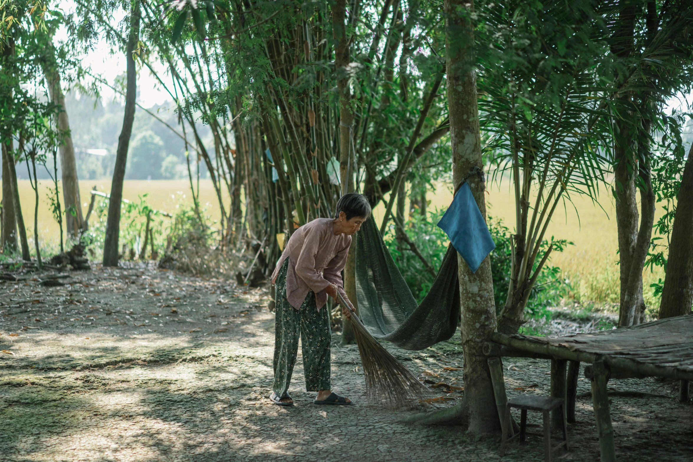 woman walking toward tents in a forest, with trees