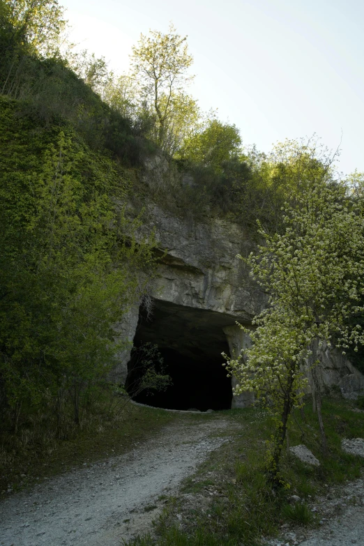 the path goes out from the entrance to a tunnel