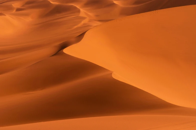 the sand and sand dunes are very large