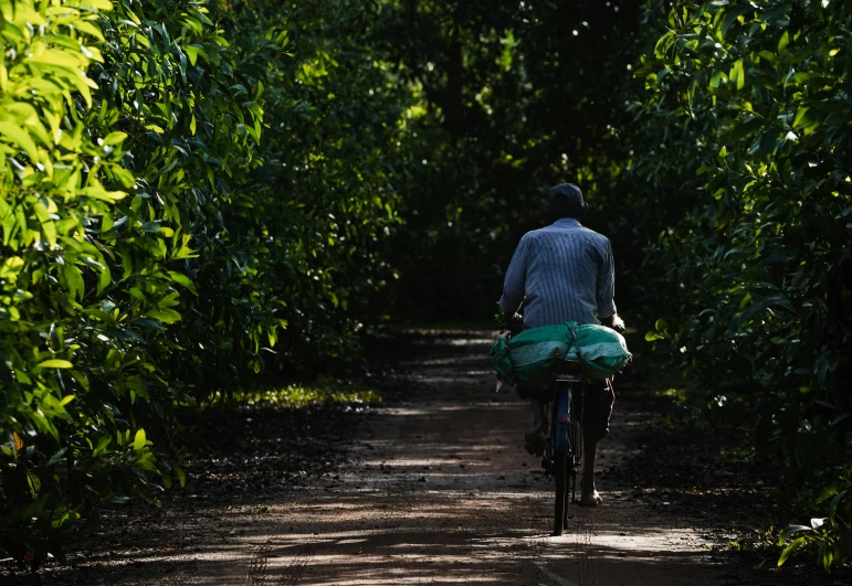 a person rides on a bicycle through the woods