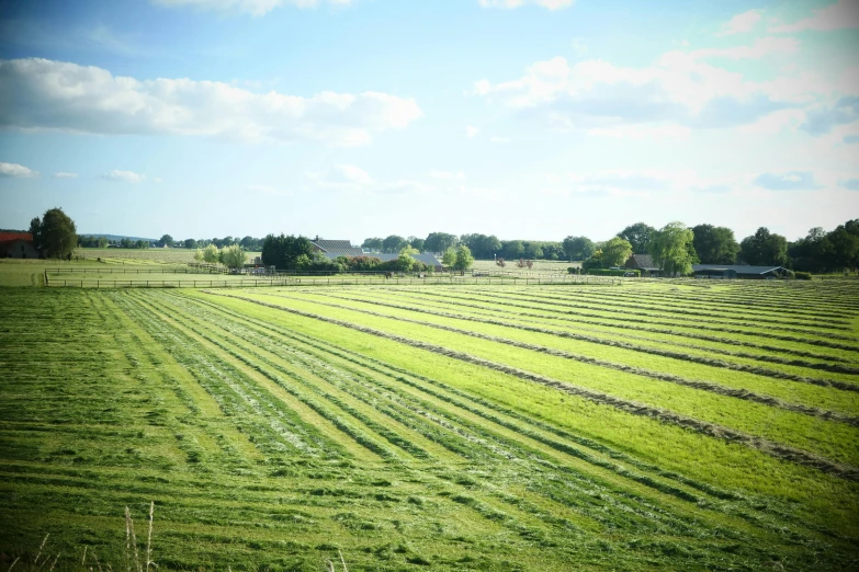 the large field is bordered with many different lines