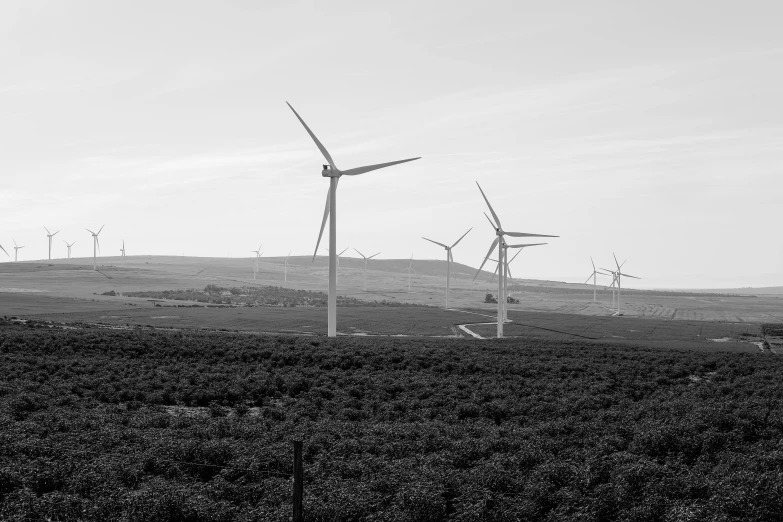 several windmills in the field on a cloudy day