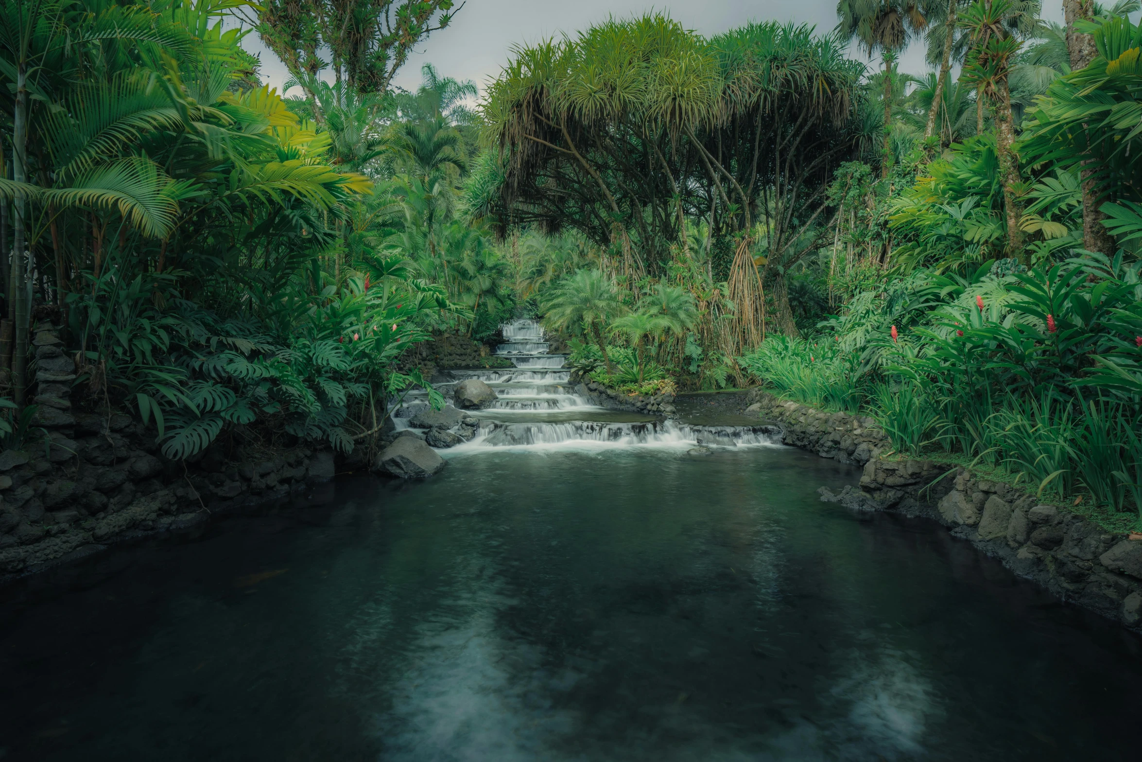 a creek with lush vegetation and lots of water