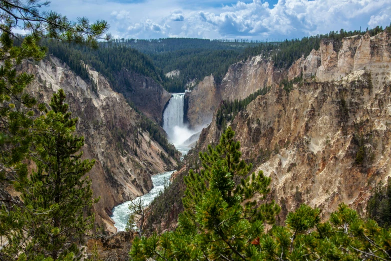 the grand canyon of yellowstone falls and river