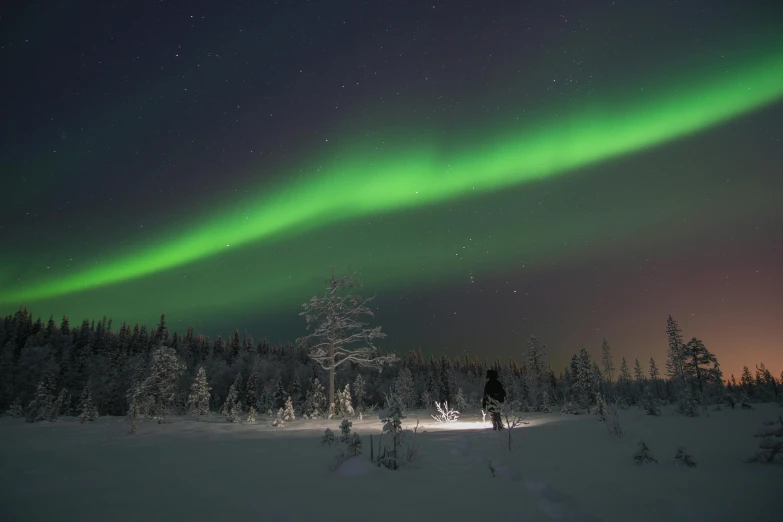 some people are walking through the snow in the distance as the bright green aurora bores overhead