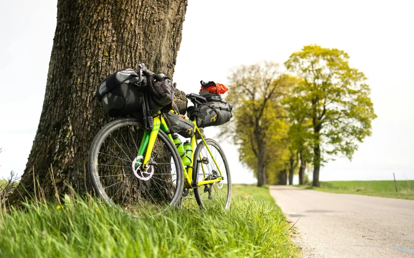 a yellow bicycle parked under a tree next to the side of a road