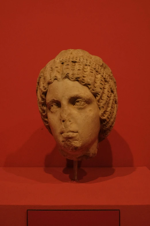 a po of a head on display with a red wall