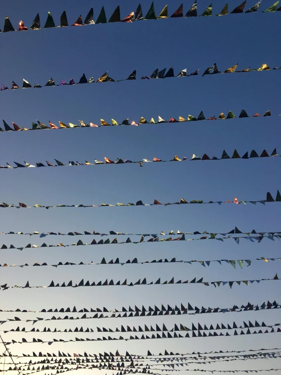 some birds are flying around and there is a sky background