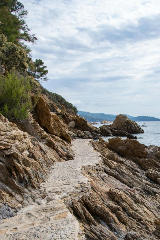 this is a path to a cliff that extends into the ocean