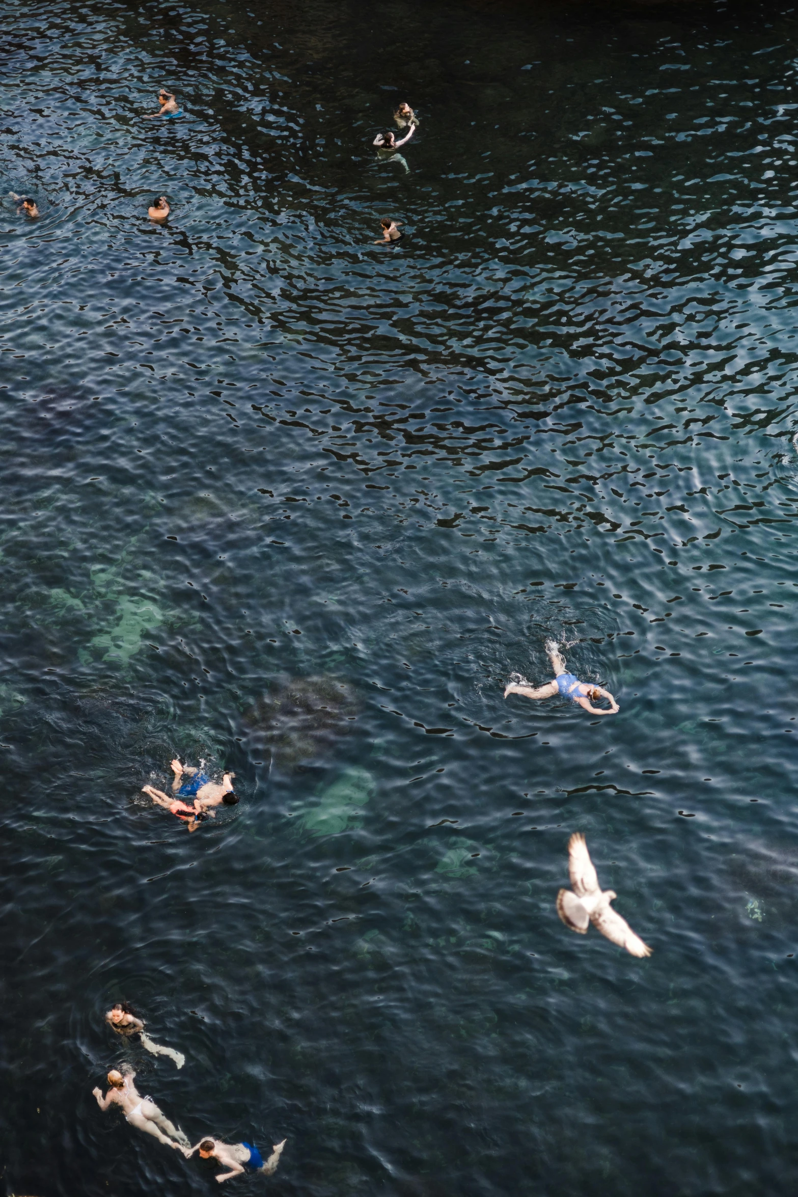 some people swimming on a large body of water